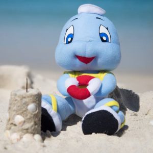 Fin the Baby Shark Soft Toy at Cottesloe Beach